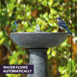 Darrahopens Home & Garden > Fountains > Fountains & Ponds Protege Bird Bath Solar Water Feature Fountain, Contemporary Birdbath Design, with Panel Kit, LED Lights, Dark Grey