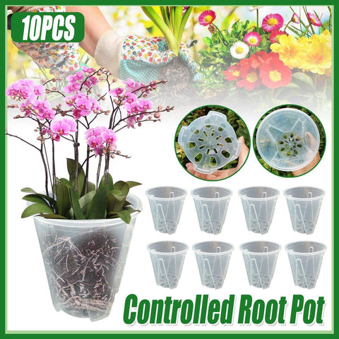 Darrahopens Home & Garden > Garden Beds > Garden Beds & Planters 10xClear Plastic Orchid Pots with Holes for Phalaenopsis Root Aeration