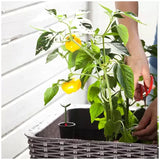 Darrahopens Home & Garden > Garden Beds > Garden Beds & Planters Dark Brown Easy Grow Planter Bed Brown with Water Gauge and Drainage System In Australia - Darrahopens