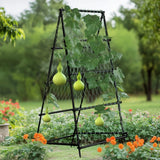 Darrahopens Home & Garden > Garden Beds > Garden Beds & Planters FIN Metal Garden Trellis Arch Climbing Plants Grow Support Frame with Ground Spikes