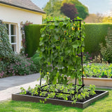 Darrahopens Home & Garden > Garden Beds > Garden Beds & Planters FIN Metal Garden Trellis Arch Climbing Plants Grow Support Frame with Ground Spikes