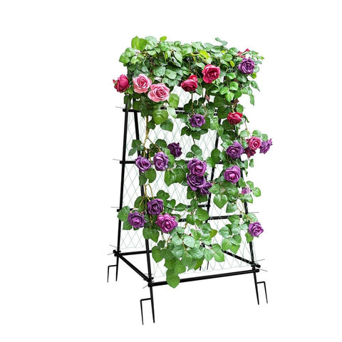 Darrahopens Home & Garden > Garden Beds > Garden Beds & Planters FIN Metal Garden Trellis Arch Climbing Plants Grow Support Frame with Ground Spikes