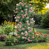 Darrahopens Home & Garden > Garden Beds > Garden Beds & Planters FIN Metal Garden Trellis Arch Climbing Plants Grow Support Frame with Ground Spikes