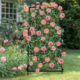 Darrahopens Home & Garden > Garden Beds > Garden Beds & Planters FIN Metal Garden Trellis Arch Climbing Plants Grow Support Frame with Ground Spikes