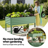 Darrahopens Home & Garden > Garden Beds > Garden Beds & Planters Green Fingers Elevated Raised Garden Bed Kit Mobile w/ Locking Wheels & Storage Shelf 100KG Max Load 115x60x81cm | Galvanized Steel, Portable Green Organizer for Seniors, Patio, Balcony, Vegetables