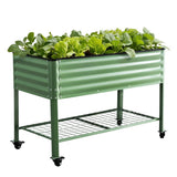 Darrahopens Home & Garden > Garden Beds > Garden Beds & Planters Green Fingers Elevated Raised Garden Bed Kit Mobile w/ Locking Wheels & Storage Shelf 100KG Max Load 115x60x81cm | Galvanized Steel, Portable Green Organizer for Seniors, Patio, Balcony, Vegetables