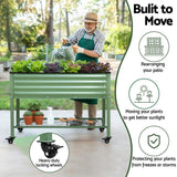 Darrahopens Home & Garden > Garden Beds > Garden Beds & Planters Green Fingers Elevated Raised Garden Bed Kit Mobile w/ Locking Wheels & Storage Shelf 100KG Max Load 115x60x81cm | Galvanized Steel, Portable Green Organizer for Seniors, Patio, Balcony, Vegetables