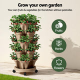 Darrahopens Home & Garden > Garden Beds > Garden Beds & Planters Green Fingers Garden Bed 5 Tier Vertical Garden Grey Strawberry Stackable Planters Herb Petunias Tan