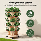 Darrahopens Home & Garden > Garden Beds > Garden Beds & Planters Green Fingers Garden Bed 5 Tier Vertical Garden Grey Strawberry Stackable Planters Herbs Beige
