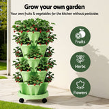 Darrahopens Home & Garden > Garden Beds > Garden Beds & Planters Green Fingers Garden Bed 5 Tier Vertical Garden Grey Strawberry Stackable Planters Herbs Light Green