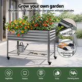 Darrahopens Home & Garden > Garden Beds > Garden Beds & Planters Green Fingers Mobile Raised Garden Bed with Wheels Storage Shelf 81cm Height for Vegetables Herb Silver