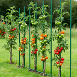 Darrahopens Home & Garden > Garden Beds > Garden Beds & Planters VEVOR Garden Stakes, 25 Pack, 1800 mm, Plastic Coated Metal Tomato Stakes, Garden Sticks for Plants Support, with Pointed End and Non-Slip Bumps for Growing Climbing Plants, Outdoor Vegetables