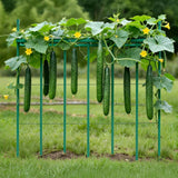 Darrahopens Home & Garden > Garden Beds > Garden Beds & Planters VEVOR Garden Stakes, 50 Pack, 1455 mm, Plastic Coated Metal Tomato Stakes, Garden Sticks for Plants Support, with Pointed End and Non-Slip Bumps for Growing Climbing Plants, Outdoor Vegetables