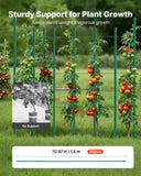 Darrahopens Home & Garden > Garden Beds > Garden Beds & Planters VEVOR Garden Stakes, 50 Pack, 1800 mm, Plastic Coated Metal Tomato Stakes, Garden Sticks for Plants Support, with Pointed End and Non-Slip Bumps for Growing Climbing Plants, Outdoor Vegetables