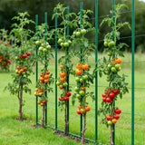Darrahopens Home & Garden > Garden Beds > Garden Beds & Planters VEVOR Garden Stakes, 50 Pack, 1800 mm, Plastic Coated Metal Tomato Stakes, Garden Sticks for Plants Support, with Pointed End and Non-Slip Bumps for Growing Climbing Plants, Outdoor Vegetables