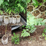 Darrahopens Home & Garden > Garden Beds > Grow Bags 500 pcs Non-Woven Plant Bags, Biodegradable Non-Woven Fabric Plant Bags Seedling Grow Bags For Tomatoes, Flowers,