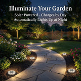 Darrahopens Home & Garden > Garden Lights > In-Ground Lights 30pcs Solar Ground Lights IP68 Waterproof Warm Light High Brightness Auto On/Off Long Lasting