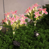 Darrahopens Home & Garden > Garden Lights > Other Outdoor Lights Seven Branch Solar Lily Light: Charges during the day, glows at night. Seven lilies bloom together, soft light flows like water through your garden./PINK In Australia - Darrahopens