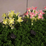Darrahopens Home & Garden > Garden Lights > Other Outdoor Lights Seven Branch Solar Lily Light: Charges during the day, glows at night. Seven lilies bloom together, soft light flows like water through your garden./PINK In Australia - Darrahopens