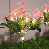 Darrahopens Home & Garden > Garden Lights > Other Outdoor Lights Seven Branch Solar Lily Light: Charges during the day, glows at night. Seven lilies bloom together, soft light flows like water through your garden./PINK In Australia - Darrahopens