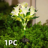 Darrahopens Home & Garden > Garden Lights > Other Outdoor Lights Seven Branch Solar Lily Light: Charges during the day, glows at night. Seven lilies bloom together, soft light flows like water through your garden./PINK In Australia - Darrahopens