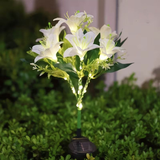 Darrahopens Home & Garden > Garden Lights > Other Outdoor Lights Seven Branch Solar Lily Light: Charges during the day, glows at night. Seven lilies bloom together, soft light flows like water through your garden./PINK In Australia - Darrahopens