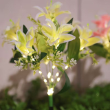 Darrahopens Home & Garden > Garden Lights > Other Outdoor Lights Seven Branch Solar Lily Light: Charges during the day, glows at night. Seven lilies bloom together, soft light flows like water through your garden./PINK In Australia - Darrahopens