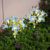 Darrahopens Home & Garden > Garden Lights > Other Outdoor Lights Seven Branch Solar Lily Light: Charges during the day, glows at night. Seven lilies bloom together, soft light flows like water through your garden./PINK In Australia - Darrahopens