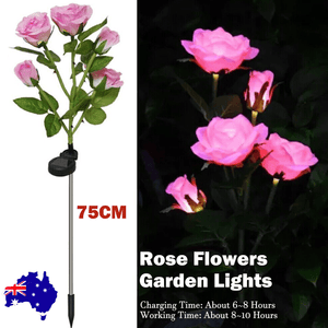 Darrahopens Home & Garden > Garden Lights Pink Bulk Solar Garden Lights 75cm Long Rose Flowers Yard Lamp Xmas Halloween Deco AU