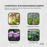 Darrahopens Home & Garden > Garden Tools 2Kg Organic Fossil Shell Flour - Livestock Garden Pet Grade Diatomaceous Earth