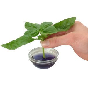 Darrahopens Home & Garden > Garden Tools 50ml Clonex Rooting Hormone Purple Gel Propagation Clone Plant Growth Technology