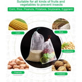 Darrahopens Home & Garden > Garden Tools > Gardening Accessories 50 pcs Fruit Protection Bag Insect Mesh Bag Plant Protection Bag With Drawstring Anti-Insect Net Bags Insect Bag 2030Cm
