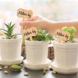 Darrahopens Home & Garden > Garden Tools > Gardening Accessories 60 plant labels - Wooden plant labels - Wooden garden labels - Decorative garden labels - Suitable for seeds, herbs in pots, flowers and vegetables