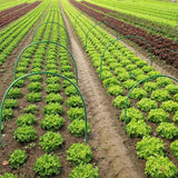 Darrahopens Home & Garden > Garden Tools > Gardening Accessories 6PCS Greenhouse Plant Hoops Garden Tunnel Support for Row Covers and Netting