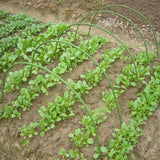 Darrahopens Home & Garden > Garden Tools > Gardening Accessories 6PCS Greenhouse Plant Hoops Garden Tunnel Support for Row Covers and Netting