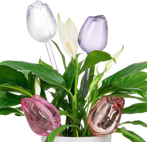 Darrahopens Home & Garden > Garden Tools > Gardening Accessories Automatic Watering Balls - 4 Pieces - Tulip-Shaped Automatic Watering Balls - Plant Waterers - Plastic Watering Balls - Suitable for Indoor and Outdoor Plants