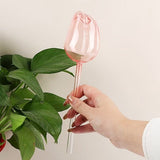 Darrahopens Home & Garden > Garden Tools > Gardening Accessories Automatic Watering Balls - 4 Pieces - Tulip-Shaped Automatic Watering Balls - Plant Waterers - Plastic Watering Balls - Suitable for Indoor and Outdoor Plants