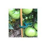 Darrahopens Home & Garden > Garden Tools > Gardening Accessories Garden For Tomatoes, 40 pcs Plant Clips Climbing Plants Reusable Climbing Plant Support For Greenhouse Gardening