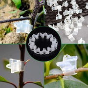 Darrahopens Home & Garden > Garden Tools > Gardening Accessories Gardening Grafting Clips 100 pcs Plastic Grafting Support Garden Clip Vegetable Vine Tomato Fruit Trees Mini Gardening