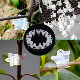 Darrahopens Home & Garden > Garden Tools > Gardening Accessories Gardening Grafting Clips 100 pcs Plastic Grafting Support Garden Clip Vegetable Vine Tomato Fruit Trees Mini Gardening