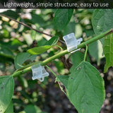 Darrahopens Home & Garden > Garden Tools > Gardening Accessories Gardening Grafting Clips 100 pcs Plastic Grafting Support Garden Clip Vegetable Vine Tomato Fruit Trees Mini Gardening
