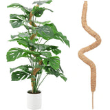Darrahopens Home & Garden > Garden Tools > Gardening Accessories Monstera moss poles 4 pcs bendable plant support compatible with climbing indoor plants