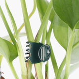 Darrahopens Home & Garden > Garden Tools > Gardening Accessories Orchid Clamps 100pcs for Supporting Plants, Compatible with Garden Orchids