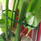 Darrahopens Home & Garden > Garden Tools > Gardening Accessories Plant Ties Adjustable Garden Supports 160 pcs Flexible Plastic Ties 3 Sizes for Shrubs Plants