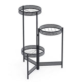 Darrahopens Home & Garden > Garden Tools > Gardening Accessories Premium Quality Black Metal Plant Stand