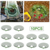 Darrahopens Home & Garden > Garden Tools > Gardening Accessories Strawberry Plant Support Cages, 10 pcs Climbing Rack Frame Holder for Balcony Garden Planting, Fruit Support