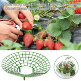 Darrahopens Home & Garden > Garden Tools > Gardening Accessories Strawberry Plant Support Cages, 10 pcs Climbing Rack Frame Holder for Balcony Garden Planting, Fruit Support