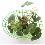 Darrahopens Home & Garden > Garden Tools > Gardening Accessories Strawberry Plant Support Cages, 10 pcs Climbing Rack Frame Holder for Balcony Garden Planting, Fruit Support