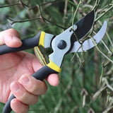 Darrahopens Home & Garden > Garden Tools > Gardening Accessories Volute Pruner Springs, Replacement Volute Spring, Stainless Steel Garden Pruner Spring Parts, Replacement Springs