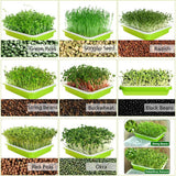 Darrahopens Home & Garden > Garden Tools > Gardening Tools 2-Pack Seed Sprouter Trays with Lids BPA-Free, Soil-Free Wheatgrass Growing Kit for Beans, Sprouts, Microgreens